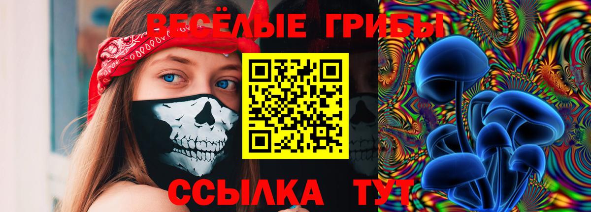Псилоцибиновые грибы Magic Shrooms  Вход с VPN  хочу наркоту  Новоуральск 